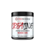 creatine 5000 mg